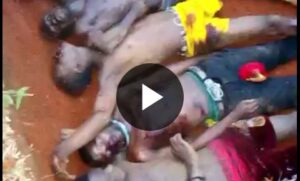 Civilians killed on the street
