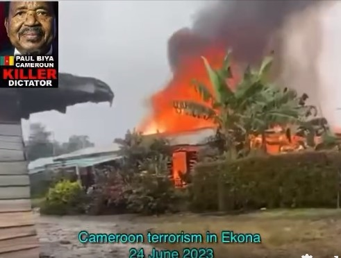 biya 1