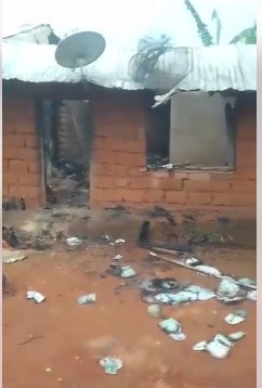 bafut-2