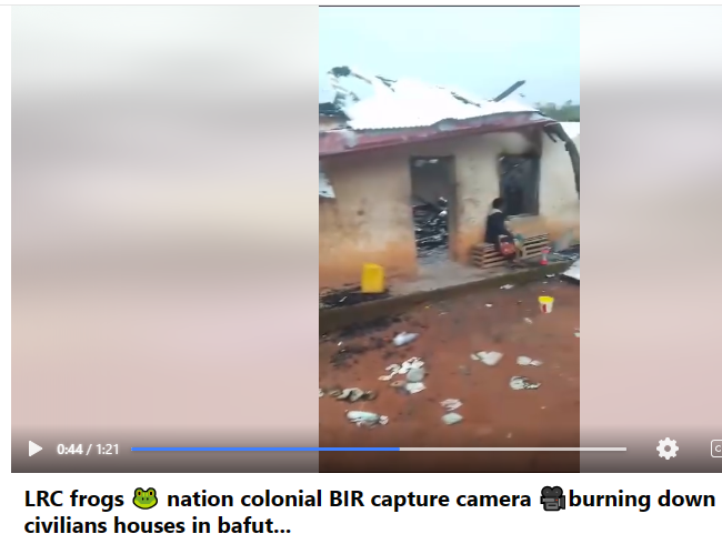 bafut